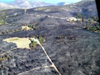 Μετά το κάψιμο της Πεντέλης, έρχεται το τσιμεντάρισμα των Μελισσίων