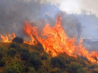 Φωτιές και φούμαρα σε τουρκικό φόντο από τον κ. Στεργίου