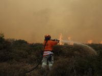Πυροσβέστης επιχειρεί για την κατάσβεση της πυρκαγιάς στο Νέο Βουτζά Αττικής, Δευτέρα 23 Ιουλίου 2018. Στο σημείο επιχειρούν 50 πυροσβέστες, 20 οχήματα, ένα ελικόπτερο και τρία αεροσκάφη. ΑΠΕ ΜΠΕ/ΑΠΕ ΜΠΕ/ΑΛΕΞΑΝΔΡΟΣ ΒΛΑΧΟΣ