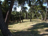 Υποβολή πρότασης χρηματοδότησης 535.000 ευρώ από το ΕΣΠΑ για την προστασία Δημοτικών Αλσυλλίων του Δήμου Πεντέλης