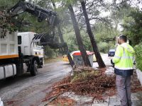 Κρατάμε το Δήμο Πεντέλης καθαρό. Μαζί! Ο Δήμος Πεντέλης υπενθυμίζει στους πολίτες να επικοινωνούν με το Γραφείο Δημότη πριν απορρίπτουν στους δρόμους κλαδιά και ογκώδη αντικείμενα