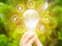 Concept save energy efficiency. Hand holding light bulb with icon on blurred tree background