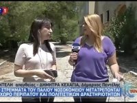 Δήμητρα Κεχαγιά στην ΕΡΤ: Με την παραχώρηση των 110 στρεμμάτων στο Δήμο Πεντέλης, οι πολίτες θα απολαμβάνουν ένα υπέροχο δάσος μέσα στην πόλη