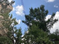 Η υπογειοποίηση του δικτύου ηλεκτροδότησης είναι η μόνη ασφαλής και οριστική λύση για την απρόσκοπτη λειτουργία του στο Δήμο Πεντέλης