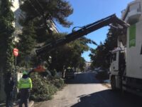 Μέσα σε μια εβδομάδα, απομακρύνθηκαν από τους δρόμους της πόλης 30.000 κυβικά κομμένα κλαδιά και δέντρα που αντιστοιχούν σε όγκο ενός εξαμήνου. Επανέρχεται σε κανονικούς ρυθμούς η πόλη
