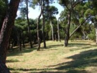 Δήμητρα Κεχαγιά: «Με σχέδιο και όραμα για την πόλη μας, διεκδικούμε όλους τους κοινόχρηστους χώρους του Δήμου -μία ακόμη βασική μας προτεραιότητα». Η Επιτροπή Ποιότητας Ζωής του Δήμου Πεντέλης ενέκρινε τη σύνταξη του «Επιχειρησιακού Σχεδίου για την εξασφάλιση Κοινόχρηστων & Κοινωφελών χώρων», το οποίο χρηματοδοτείται από το Πράσινο Ταμείο