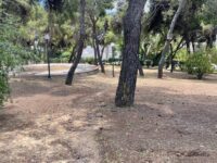 Ολοκληρώνονται οι καθαρισμοί και οι αποψιλώσεις των δημοτικών εκτάσεων, στο πλαίσιο των δράσεων πρόληψης της αντιπυρικής περιόδου. Ο Δήμος καλεί τους συμπολίτες να καθαρίσουν ως οφείλουν τα οικόπεδά τους